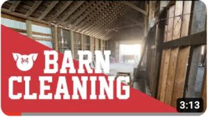 Cleaning Our 100 Year Old Barn - Getting Ready for Pig Farrowing!!!